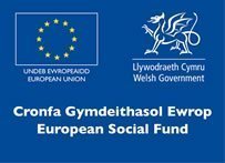 Euro social fund Wales